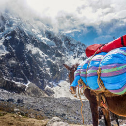 Salkantay Trek